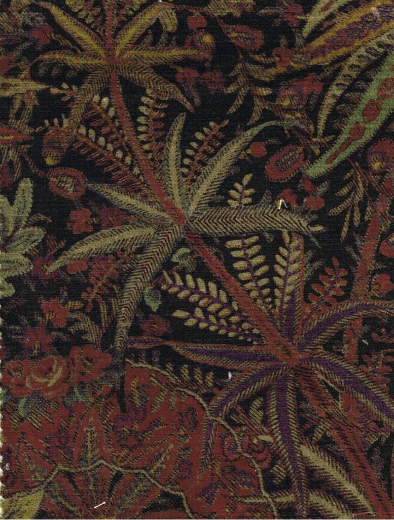 Shand Voyage Edmond Petit - copie